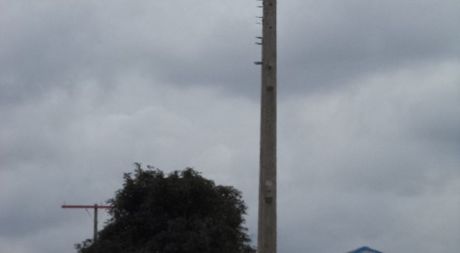 DSC02004