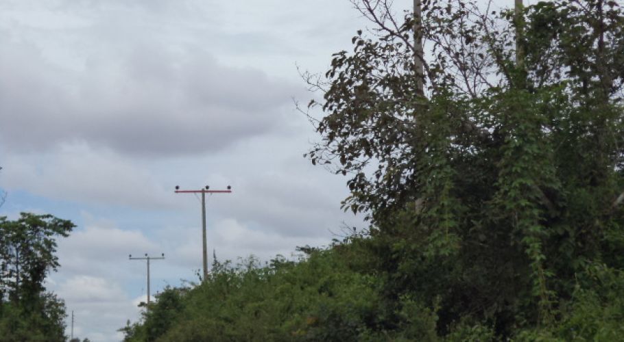 DSC02003