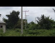 DSC02009